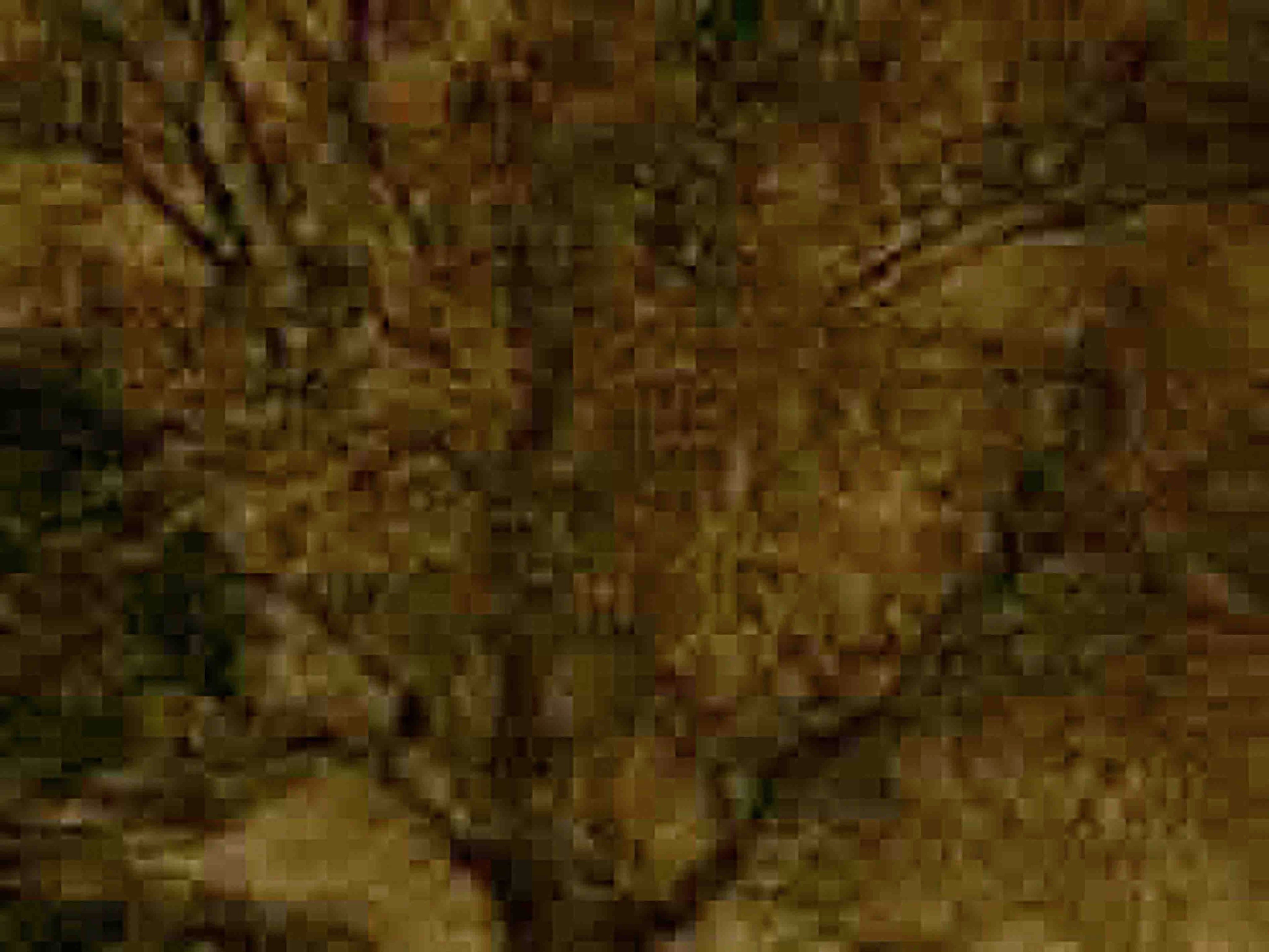 032c 032c