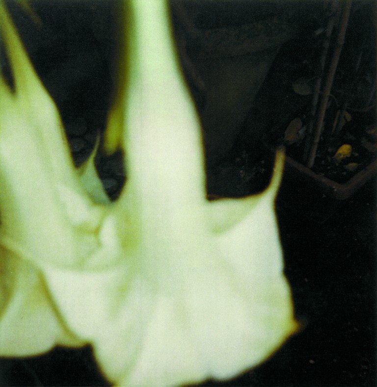 032c 032c
