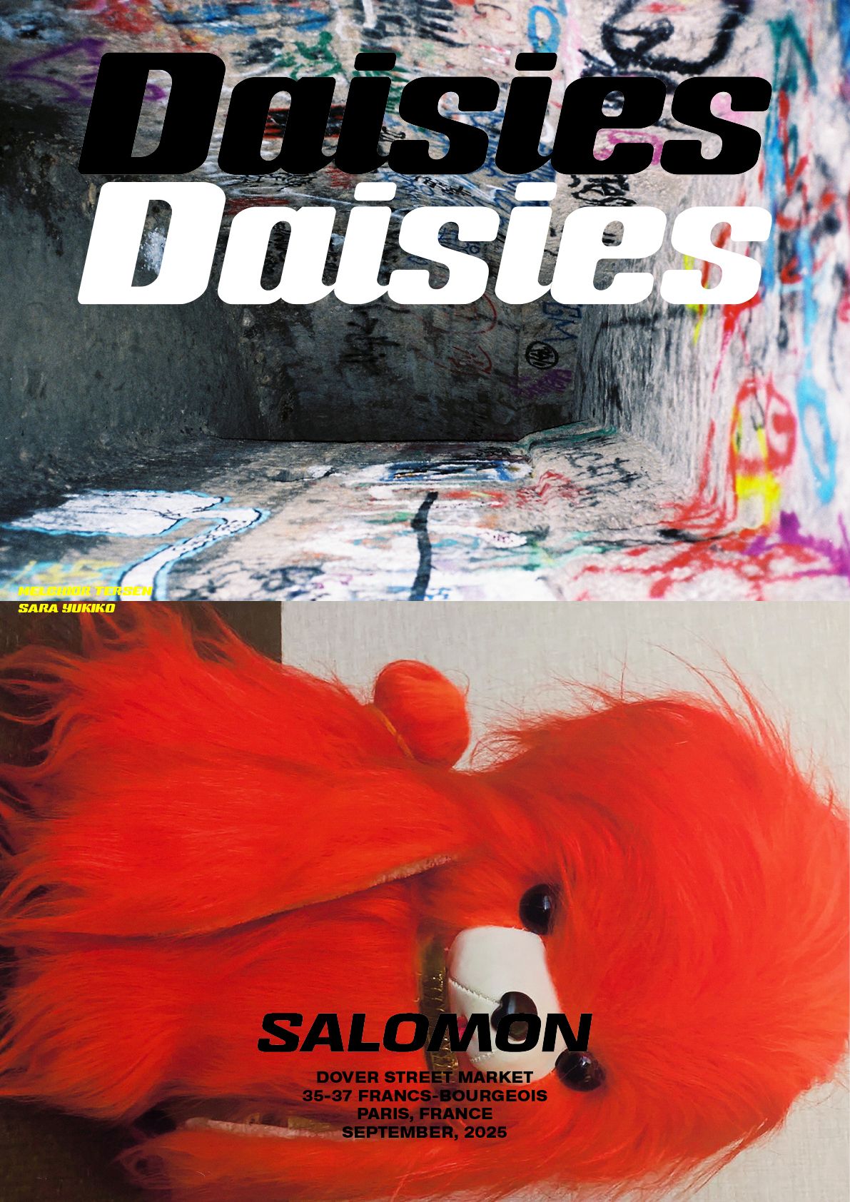 Worldbuilding With Daisies Worldbuilding With Daisies