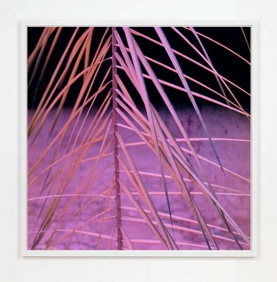 032c 032c