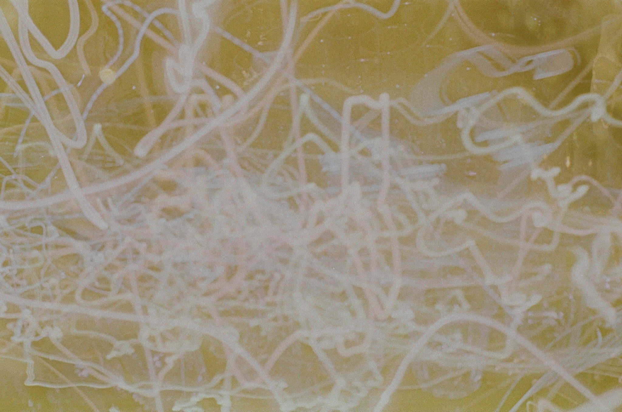 032c 032c